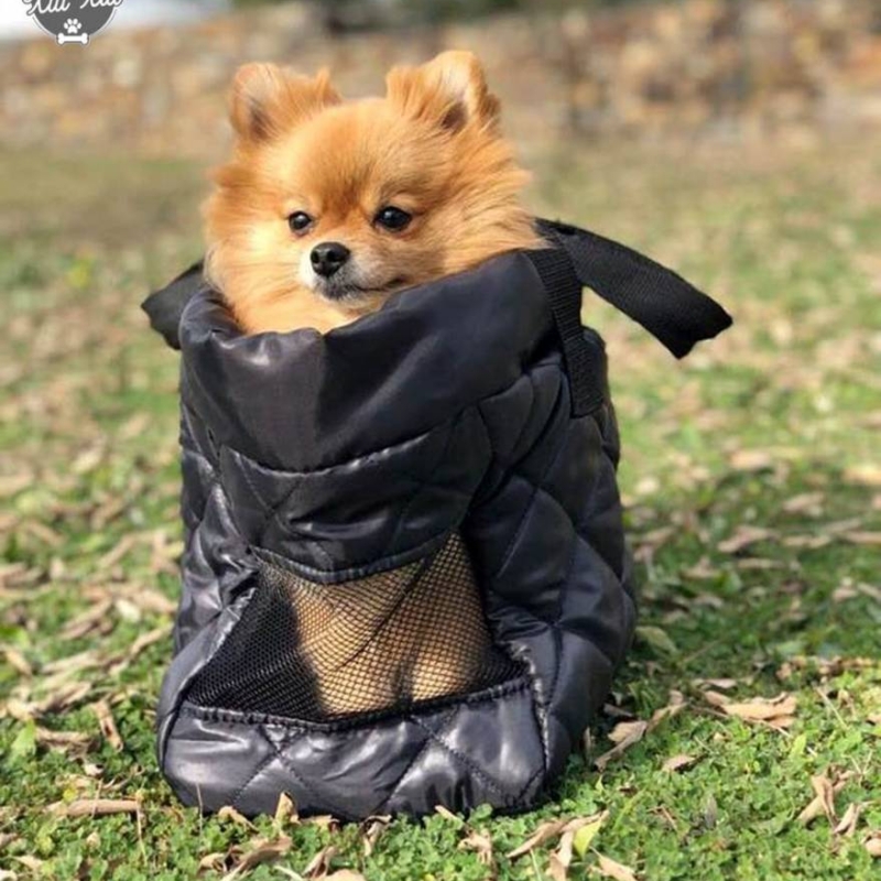 Bolso para pomerania 2025